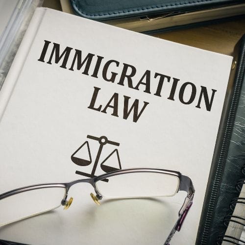 immigration law