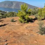 Levante-V-site